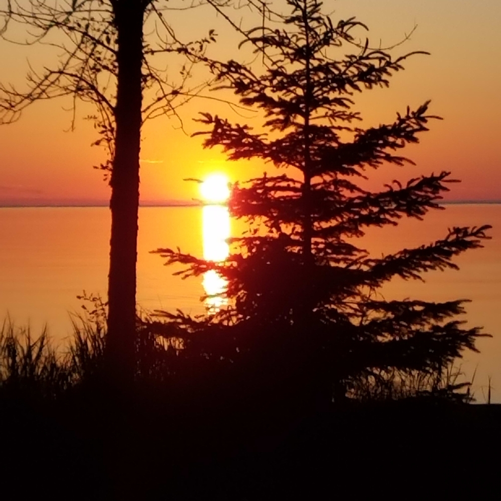 Meet your Posher, Kathi